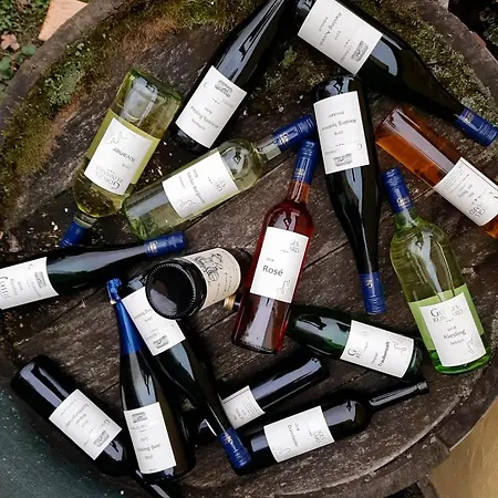 Weingut Gorges-reinhard Lägenhet Wintrich