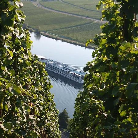 Apartment Weingut Gorges-reinhard