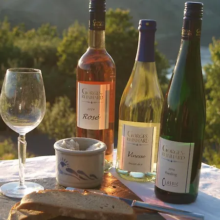 Lägenhet Weingut Gorges-reinhard *