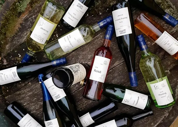 Weingut Gorges-reinhard Apartment Wintrich