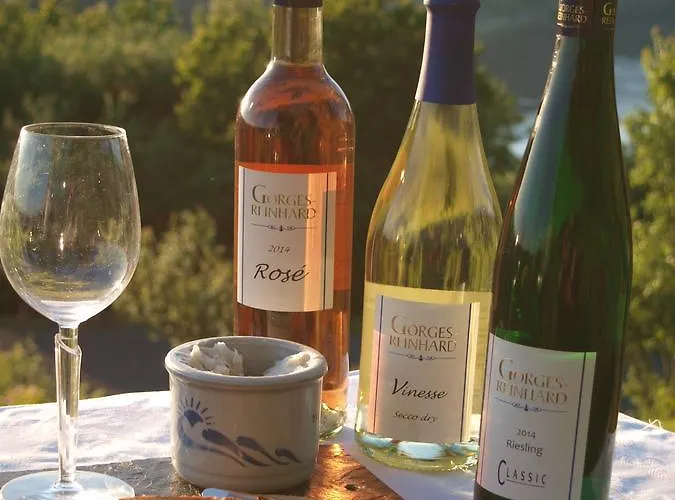 Apartmán Weingut Gorges-reinhard *